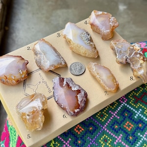 May include: An assortment of eight polished agate stones in various shapes and colors, including shades of orange, white, and brown. A quarter coin is placed near the center for size comparison. The stones are arranged on a tan box.