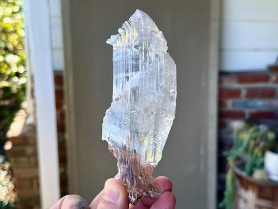 Bermejillo Selenite, Water Clear, 278g, Purification & Energetic Cleansing, Durango, Mexico V248