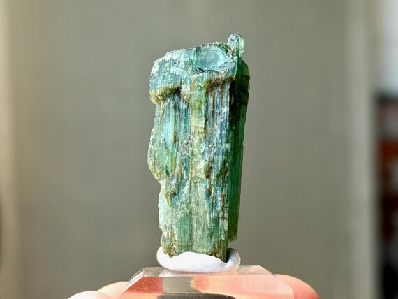 Bicolor Blue-Green Tourmaline, Aricanga Mine, 12.5g, New Find, São Jose do Safira, Minas Gerais, Brazil A631