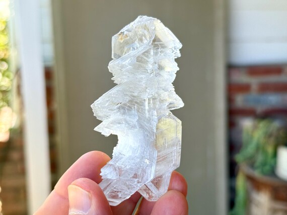 Fishtail Selenite, Natural Angel Wing Formation, 92g, Highest Vibration, Purification & Energetic Cleansing, Mexico A598