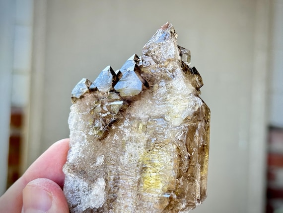 Smoky Elestial Quartz, Jacare Crystal in Shield Formation, 149g, New Find, Aracuai, Minas Gerais, Brazil R924