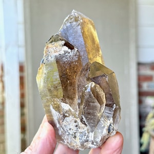 Smoky Quartz with Golden Rutile, 671g, Old Find, Root Chakra Crystal for Energetic Transmission, Novo Horizonte, Brazil W362