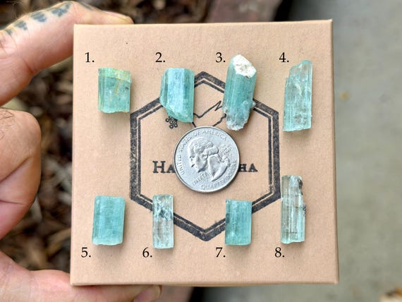Emerald, Vanadium Beryl, Natural Raw & Unpolished, Choose ONE of Eight, Nigeria B620