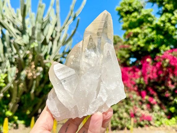 Golden Healer Lemurian Quartz, Self-Standing  Crystal Cluster, 1.6 Kilo, New Find, Bahia, Brazil W141