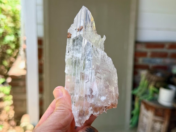 Bermejillo Selenite, Water Clear, 234g, Purification & Energetic Cleansing, Durango, Mexico V546