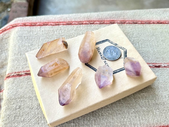 Golden Healer Amethyst Lot, 6 Pieces, New Find, Bicolor Purple Cap Amethyst with Golden Hematite, Crown Chakra, Minas Gerais, Brazil R719