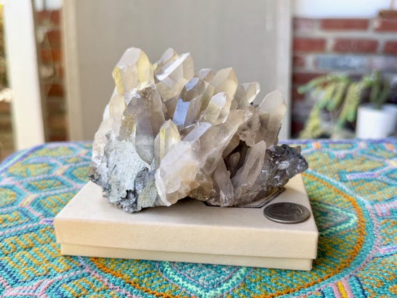 Smoky Lemurian Quartz Cluster, Self-Standing, 886g, Serra do Cabral, Minas Gerais, Brazil X558