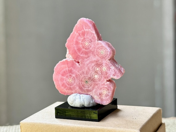 Rhodochrosite Stalactite Slice, 32g, Semi-Polished Natural Rhodochrosite, Heart Healer, Capillitas Mine, Catamarca, Argentina T582