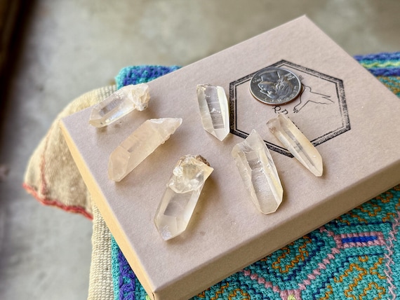 Golden Healer Lemurian Quartz Lot, 6 Pieces, New Find, Crown Chakra Crystals, Serra do Cabral, Minas Gerais, Brazil T129