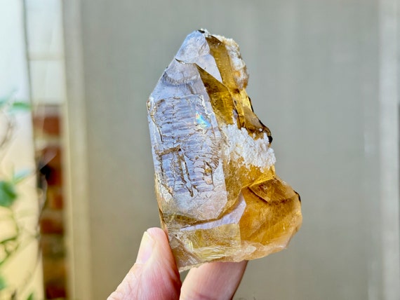 Elestial Cathedral Citrine from Jenipapo with Rainbow, Vibrant Golden Hues and Beautiful Jacare Textures, New Find, Bahia, Brazil X858