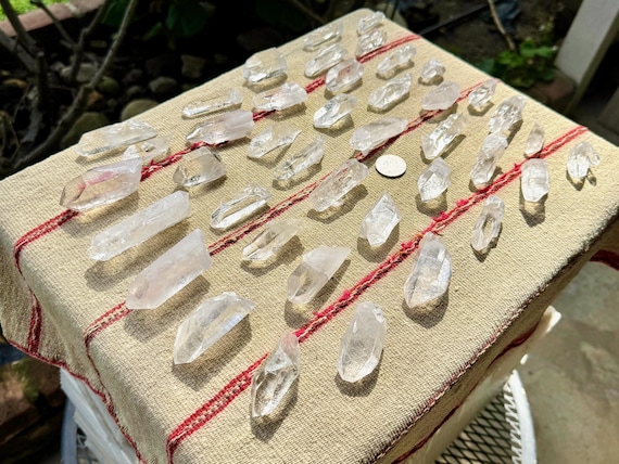 Starbrary Quartz Lot, 41 Pieces (1 Kilo) of Hand-Selected, Water Clear Crystals with Extraterrestrial Star Markings, Brazil WS043