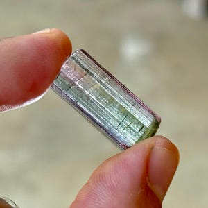 May include: A multi-colored tourmaline crystal, held between fingers. The crystal is a rectangular prism with visible layers of green, pink, and clear sections. The gemstone is approximately 1 inch long.
