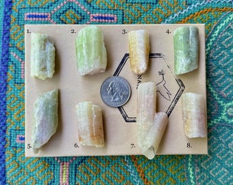 Watermelon Tourmaline, Choose ONE of Eight, Bicolor Pink and Green Tourmaline, Arqueana Mine, Minas Gerais, Brazil S610
