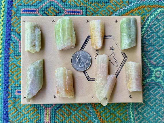 Watermelon Tourmaline from the Arqueana Mine, Choose ONE of 8 Bicolor Pink and Green Tourmalines with Pastel Hues, Minas Gerais, Brazil S610
