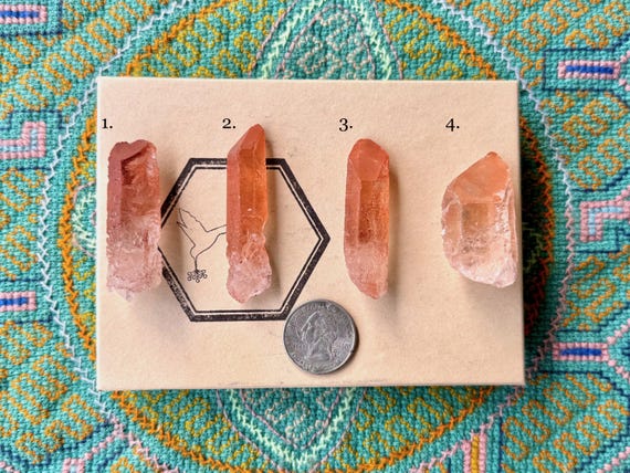 Ancient Sage Quartz, Choose ONE of Four Tangerine Dissolution Crystals, Spiritual Transformation, Para, Brazil S231