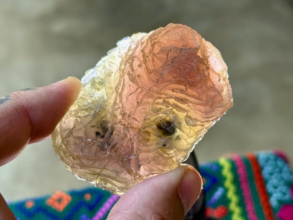 Black Mountain Gobi Agate, Fossil Coral, 64g, Agatized Coral, Naturally Formed Over Time, Earth & Water Energies, China T662