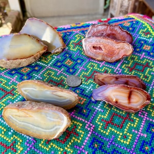May include: A collection of polished agate slices in shades of brown, orange, and white, displayed on a colorful patterned textile. The agate pieces vary in size and shape, showcasing natural patterns. A US quarter is included for scale.