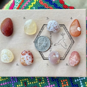 May include: Eight polished stones in shades of red, yellow, and orange are arranged on a beige surface. A 25-cent coin is placed nearby for scale. The stones are labelled with numbers from 1 to 8.
