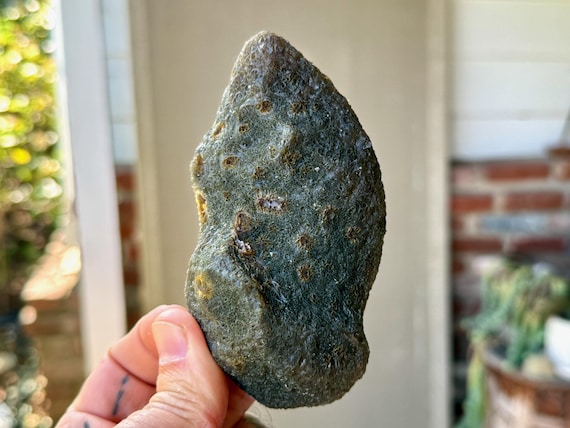 Black Mountain Gobi Agate, Fossilized Impressions, 264g, Naturally Formed, Earth & Water Energies, China V262