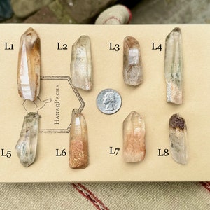 Lemurian Phantom Quartz with Lodolite Inclusions, Choose ONE of Eight, Lemurian Garden Quartz, Minas Gerais, Brazil R031