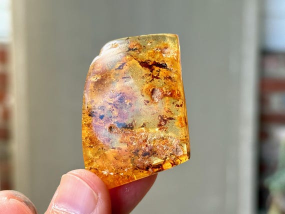 Copal Amber Crystal with Fossilized Plant Matter, 17g, Cycle of Life, Ancient Wisdom, Colombia A569