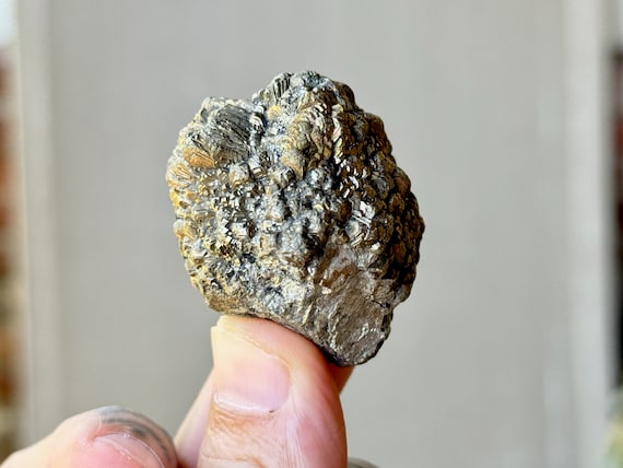 Golden Marcasite Nodule, 109g, Rare Find, Pre-Pseudomorph Prophecy Stone, Crystal for Attraction and Balance, Pakistan R204