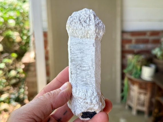 Atlantean Lovestar Scepter Quartz, Barbell Formation, 267g, Candle Quartz, Past Life Recall, Minas Gerais, Brazil W626