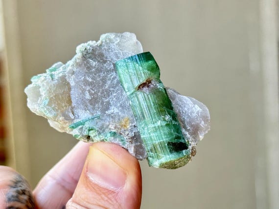 Watermelon Tourmaline with Vibrant Blue Cap, Aricanga Mine, 142g, New Find, Minas Gerais, Brazil W561