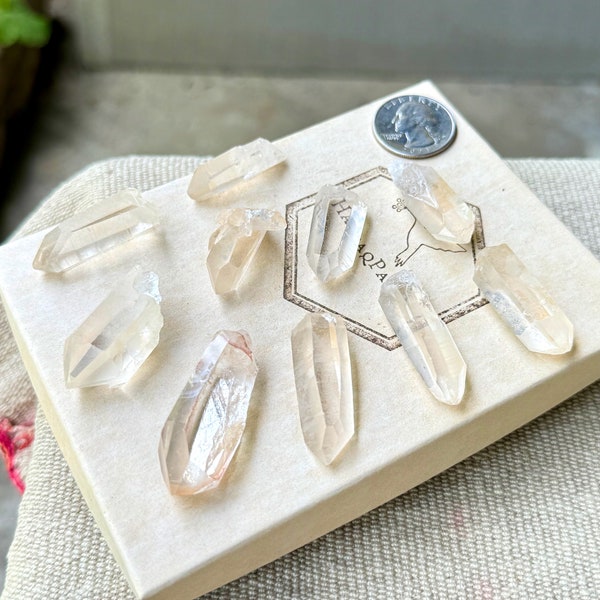 Golden Healer Lemurian Quartz, 10 Pieces, New Find, Crown Chakra Crystals, Serra do Cabral, Minas Gerais, Brazil P930