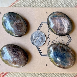 Bronze Sapphire, Choose ONE of Four, Polished Sapphire Palm Stones, Root Chakra Stone of Calmness & Stability, India T302