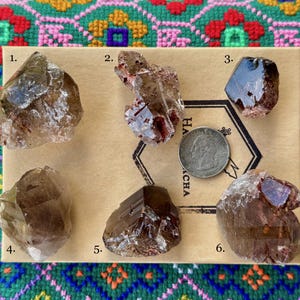 May include: A collection of six raw, uncut smoky quartz crystals, each with unique shapes and varying shades of brown and clear. A US quarter coin is included for size reference. The crystals are arranged on a tan surface with the word "HACHA" visible.