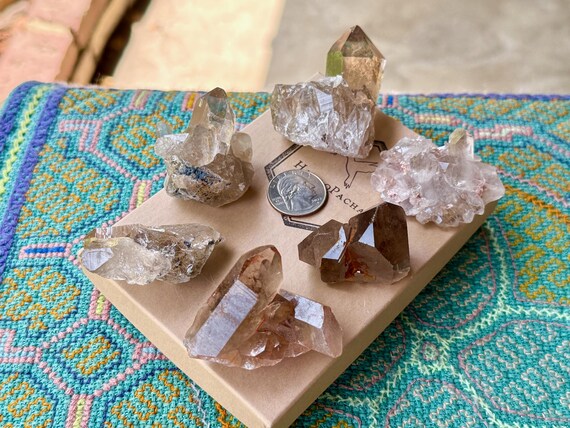 Smoky Quartz & Golden Rutile Cluster Lot, 6 Pieces, High Quality, Conductor Amplifier Crystals, Novo Horizonte, Bahia, Brazil T169