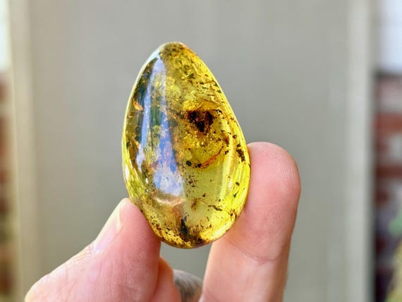 Green Copal Amber with Fossilized Plant Matter, 10g, Rare Find, Cycle of Life, Ancient Wisdom, Cimitarra, Colombia S698