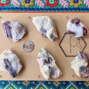 May include: Six raw, irregular white and pinkish-purple mineral specimens labeled one through six on a tan rectangular card. A silver United States quarter coin is placed next to the second specimen for scale. The card features a logo with a hummingbird.