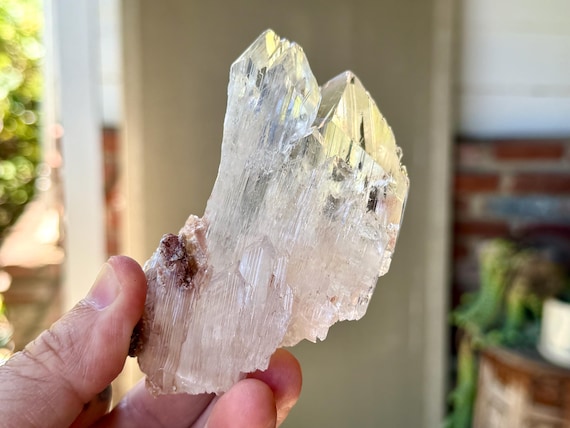 Bermejillo Selenite, Water Clear, 184g, Purification & Energetic Cleansing, Durango, Mexico V427