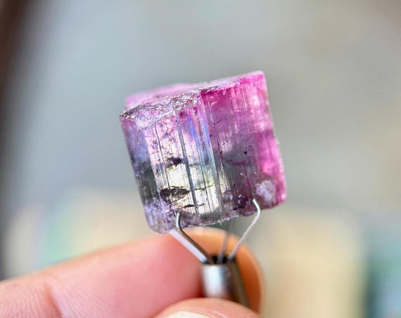 Bicolor Pink Tourmaline with Steel Blue Core from Cruzeiro Mine, 7g, Minas Gerais, Brazil R968