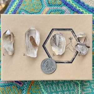 Puede incluir: Cuatro puntas de cristal de cuarzo transparente de varios tamaños se muestran sobre una superficie de cartón marrón. Una moneda está al lado de los cristales para comparar el tamaño. Los cristales están numerados del 1 al 4.