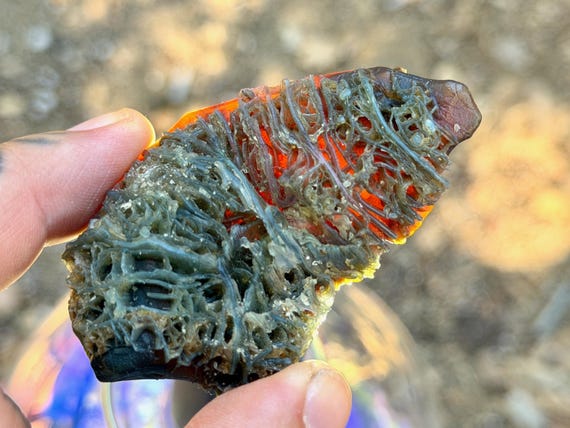 Black Mountain Gobi Agate, Fossilized Impressions, 61g, Naturally Formed, Earth & Water Energies, China B636