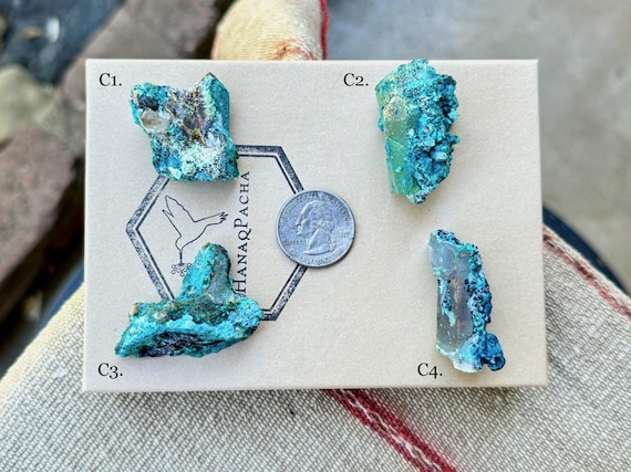 Chrysocolla Quartz Crystals from Tentadora Mine, Rare Old Stock, Throat & Heart Chakra Stones, Peru R929