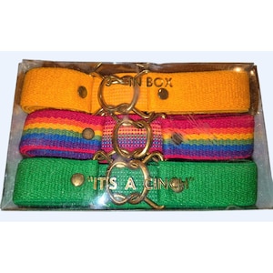 Cinture elastiche vintage &quot;Its A Cinch&quot; da 3 pezzi, colori retrò, nuovo stock, Goldbergs, nuovo stock, vecchio stock