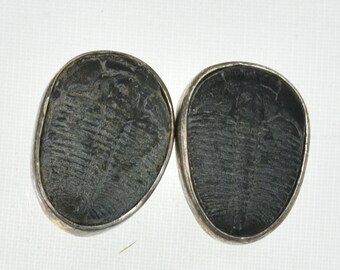 Handmade Genuine Fossil Trilobite Sterling Silver Post Earrings