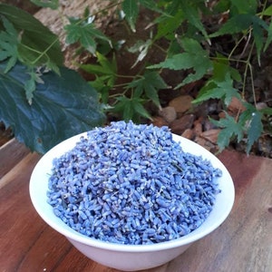 Dried Lavender Buds