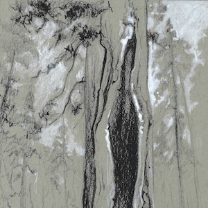 Sequoia: