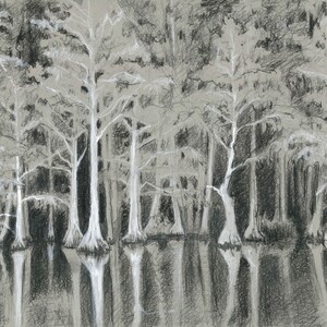 Het bos in