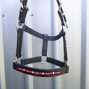 Lge Mini Horse/Pony Beaded Show Halter - free w/wide postage