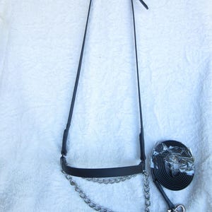 Puede incluir: Un cabezada de cuero negro con una cadena plateada y una cuerda de cuero negra.