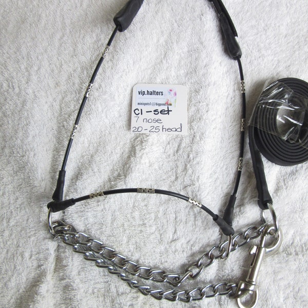 Miniature Horse Show Halter Etsy