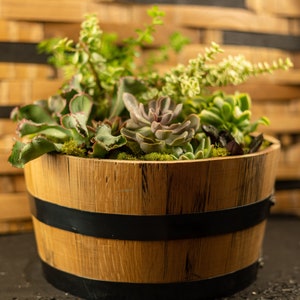 May include: A wooden barrel planter with black metal bands, filled with a variety of succulents and green plants.