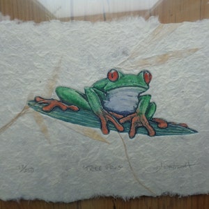 May include: A green tree frog with red eyes sits on a green leaf. The frog is depicted in a watercolor style on a textured paper background. The image is signed and numbered 1/300.