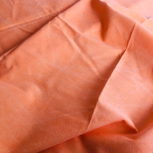 Designers Guild Canvas Orange Fabric